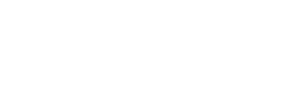 Logo web white